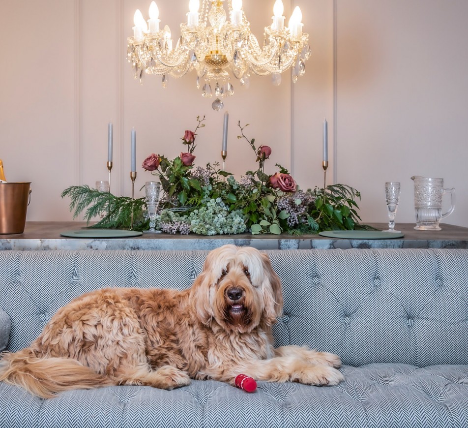 Charlton Crystal Chandelier