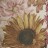 Floral Sunflower Shade